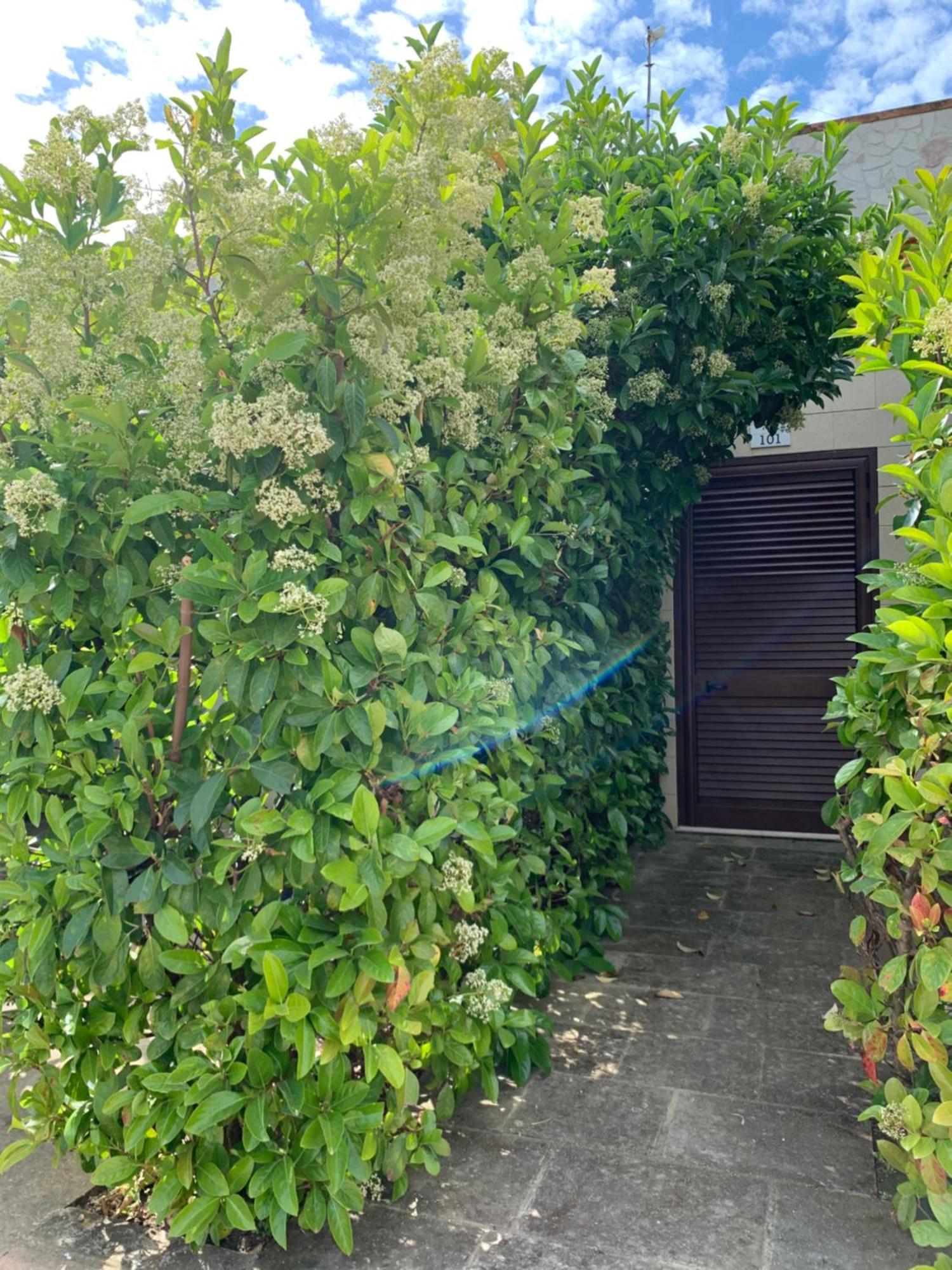 Agriturismo Tenuta Don Giovanni ميليندونيو المظهر الخارجي الصورة